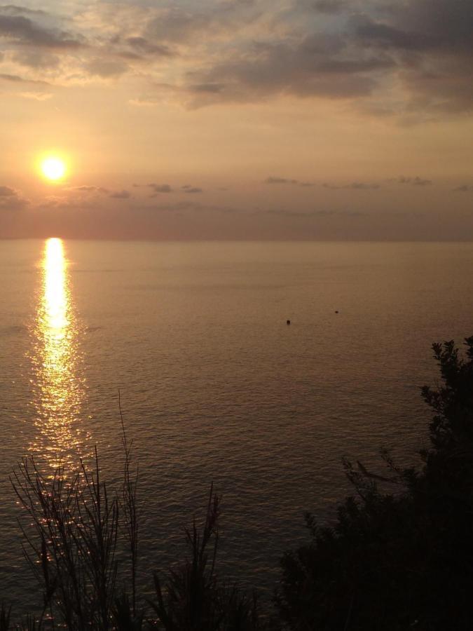 Anjos'S Choice Villa Ponta do Sol  Eksteriør billede